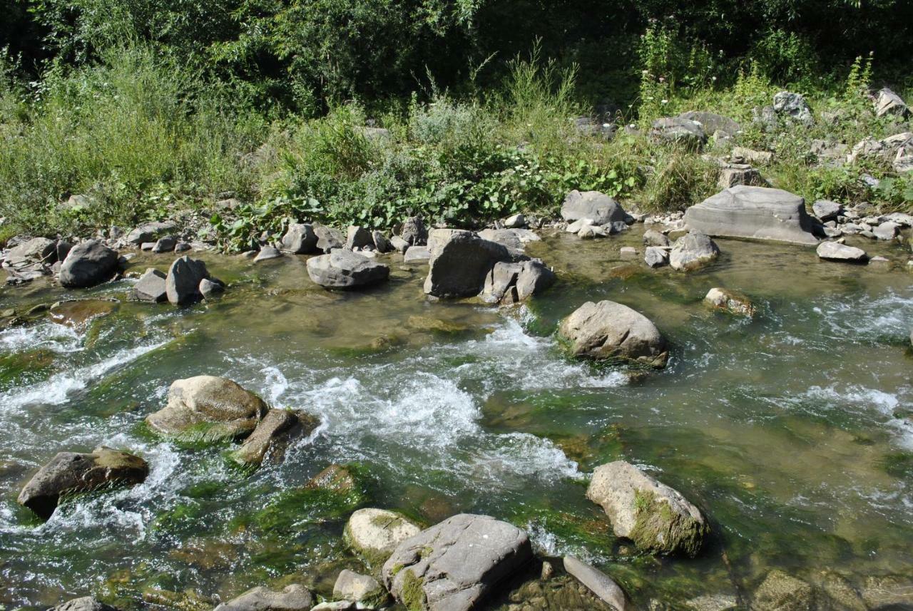 A2 * Szczawnica